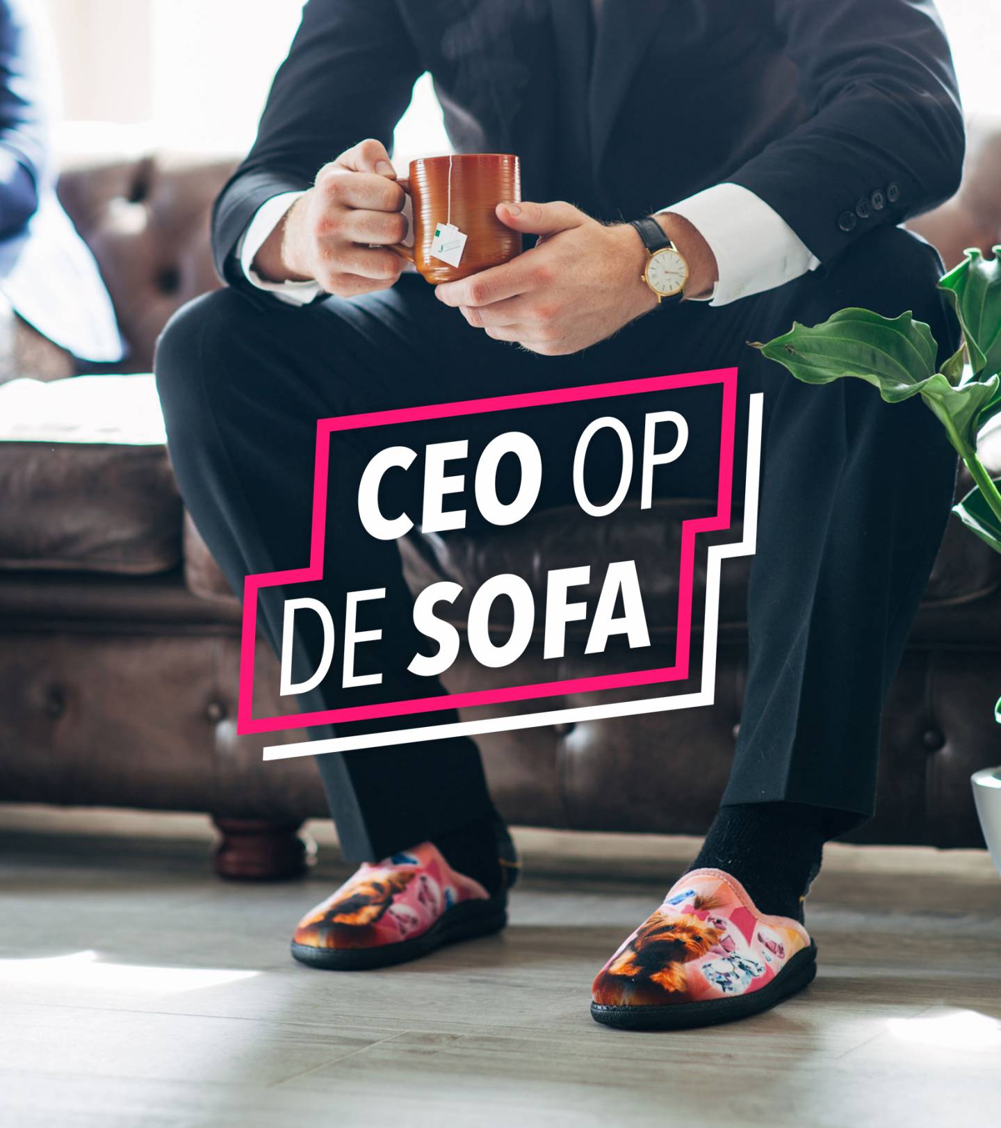NVandersom | Communicatiebureau Limburg | Case thumbnail voor CEO op de Sofa